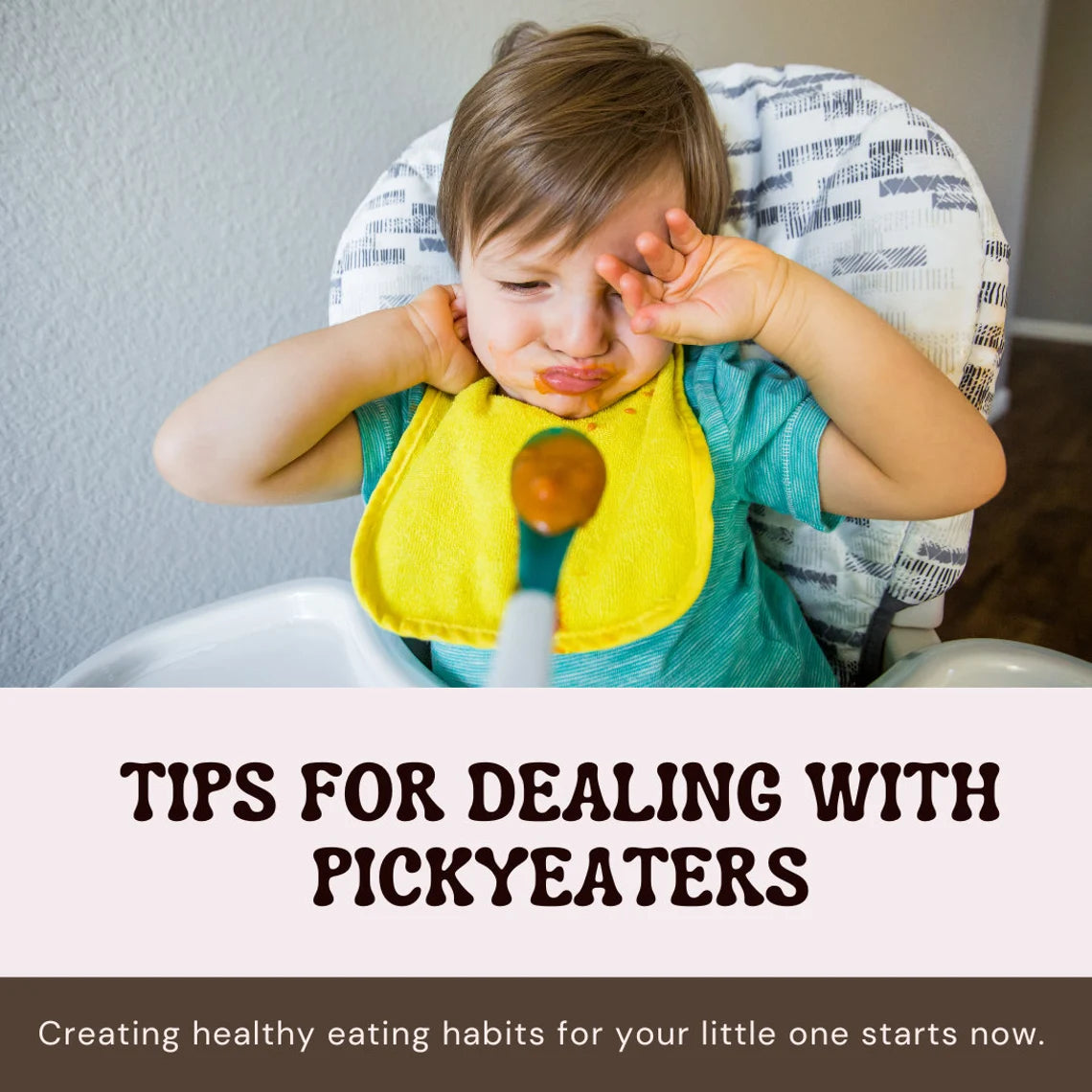 Toddler Meal Planning E-Book